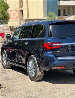 إنفينيتي QX80